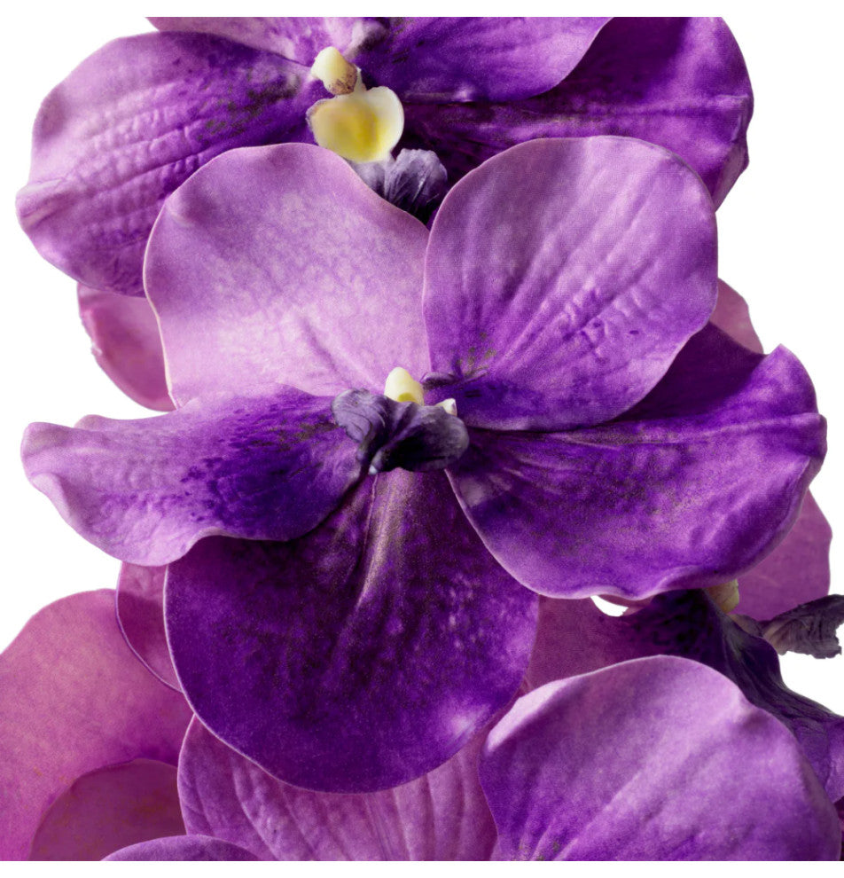 Artificial Orchids Bouquet, 24-Pieces, Eichholtz Vanda, Purple