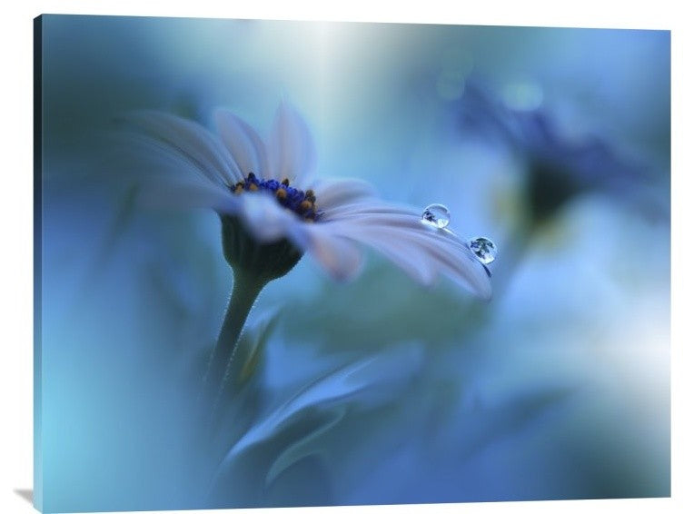 "Beyond The Visible" Stretched Canvas Giclee by Juliana Nan, 40x30"