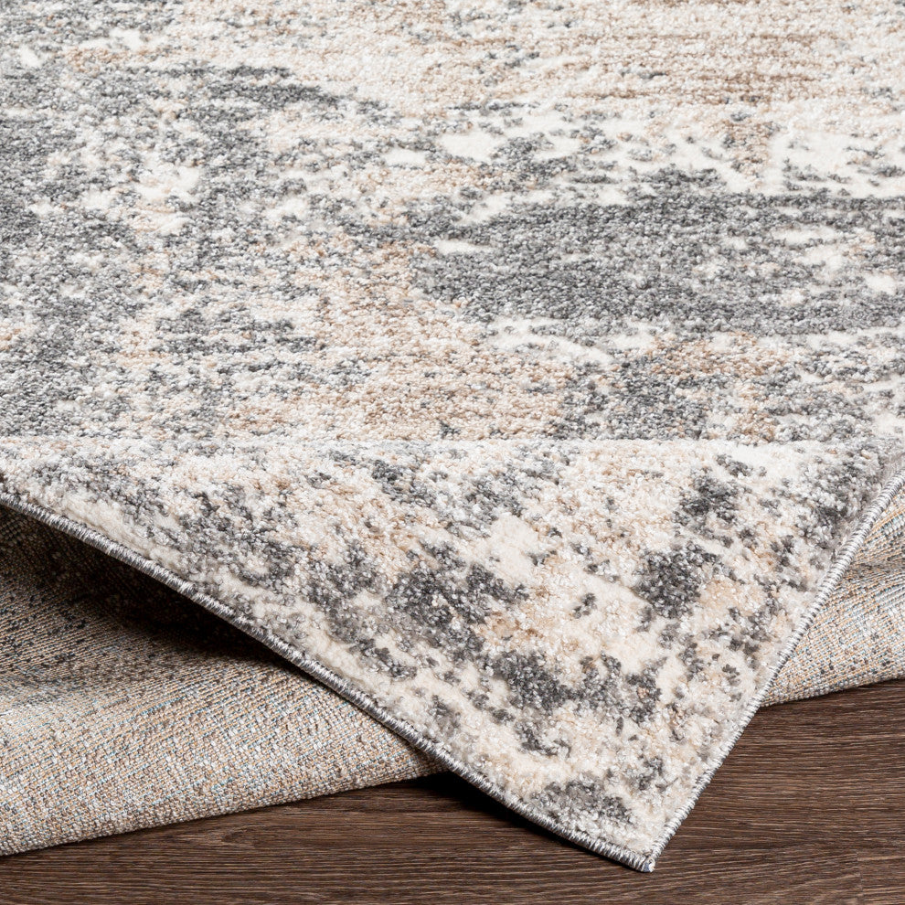 Andorra ARD-2302 Rug, Charcoal, 5'3"x7'3"