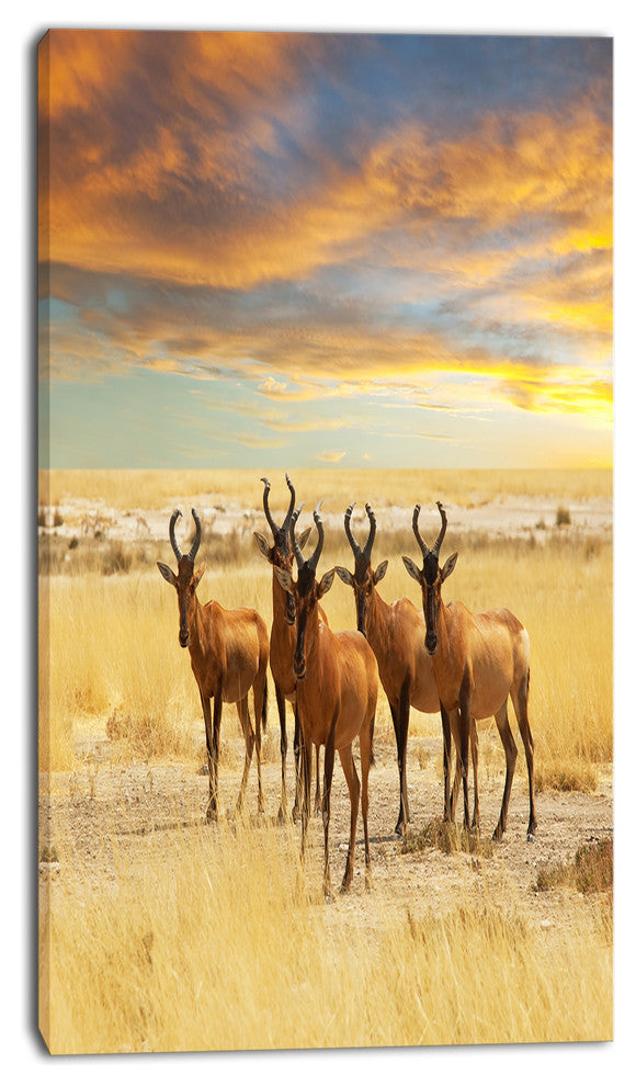 Herd of Antelope in Grassland, Extra Large African Canvas Art Print, 16"x32"