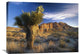 "Joshua Tree At Red Rock State Park, California" Artwork, 32" x 24"