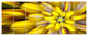 Massive Yellow Fractal Flower, Floral Canvas Art Print, 83"x32", 7 Panels