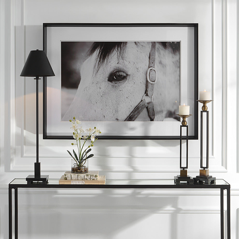 Uttermost 41463 Eye Of The Beholder Framed Print
