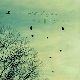 "What If You Fly" Painting Print on Wrapped Canvas