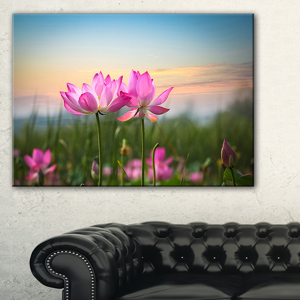 "Blooming Lotus Flowers at Sunset" Floral Canvas Photo Print, 40"x30"