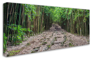 Pierre Leclerc 'Maui Bamboo Forest' Canvas Art, 47x24