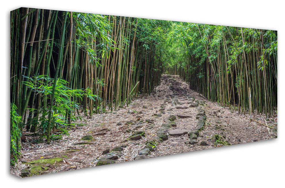 Pierre Leclerc 'Maui Bamboo Forest' Canvas Art, 47x24