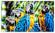 "Parrot Party" Canvas Painting