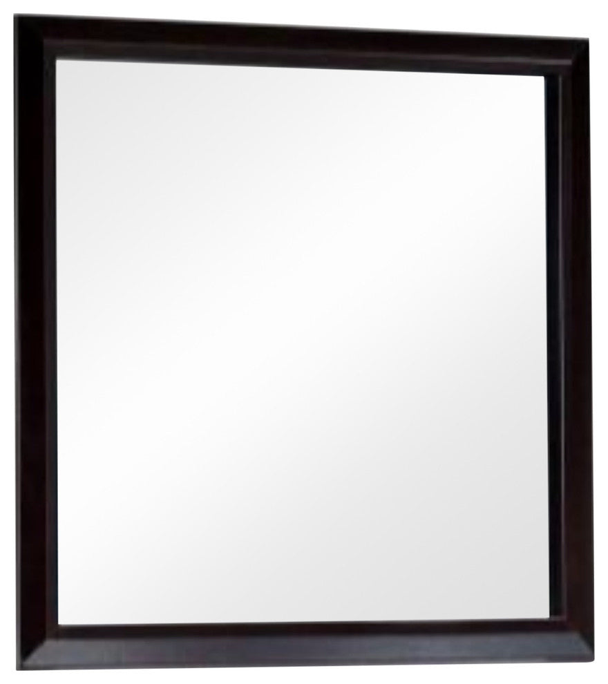 Benzara BM123518 Janine Transitional Style Dark Espresso Mirror