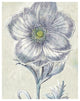 "Belle Fleur II" Digital Paper Print by Sue Schlabach, 24"x30"