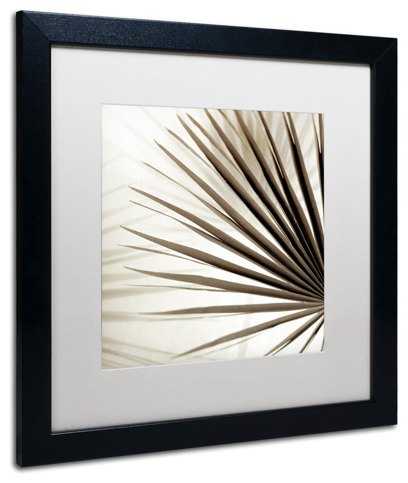 Alan Blaustein ''Florison 66'' Art, Black Frame, White Mat, 16x16
