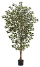6' Hawaiian Ficus Tree, White and Green