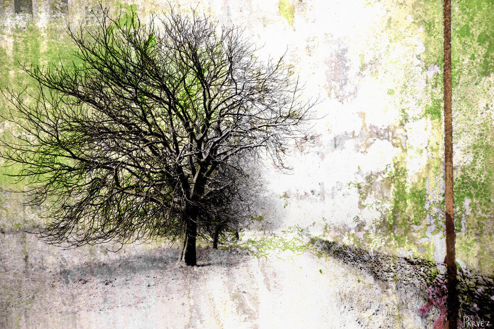 "Grey Peak" Fine Art Canvas Print, 45"x30"