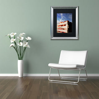 Jason Shaffer 'Orchard' Matted Framed Art, Silver Frame, Black Mat, 16x20