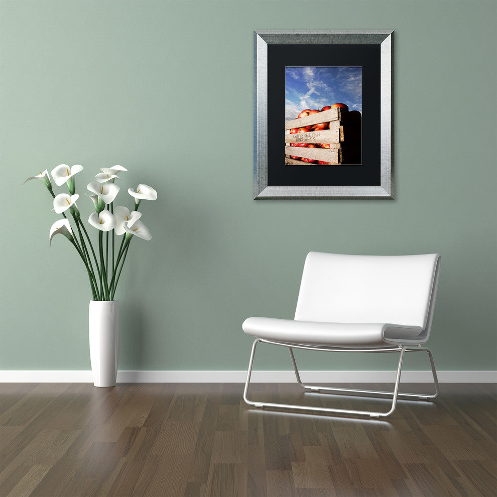Jason Shaffer 'Orchard' Matted Framed Art, Silver Frame, Black Mat, 16x20