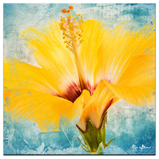Painted Petals XVII Canvas Wall Art, 30"x30"