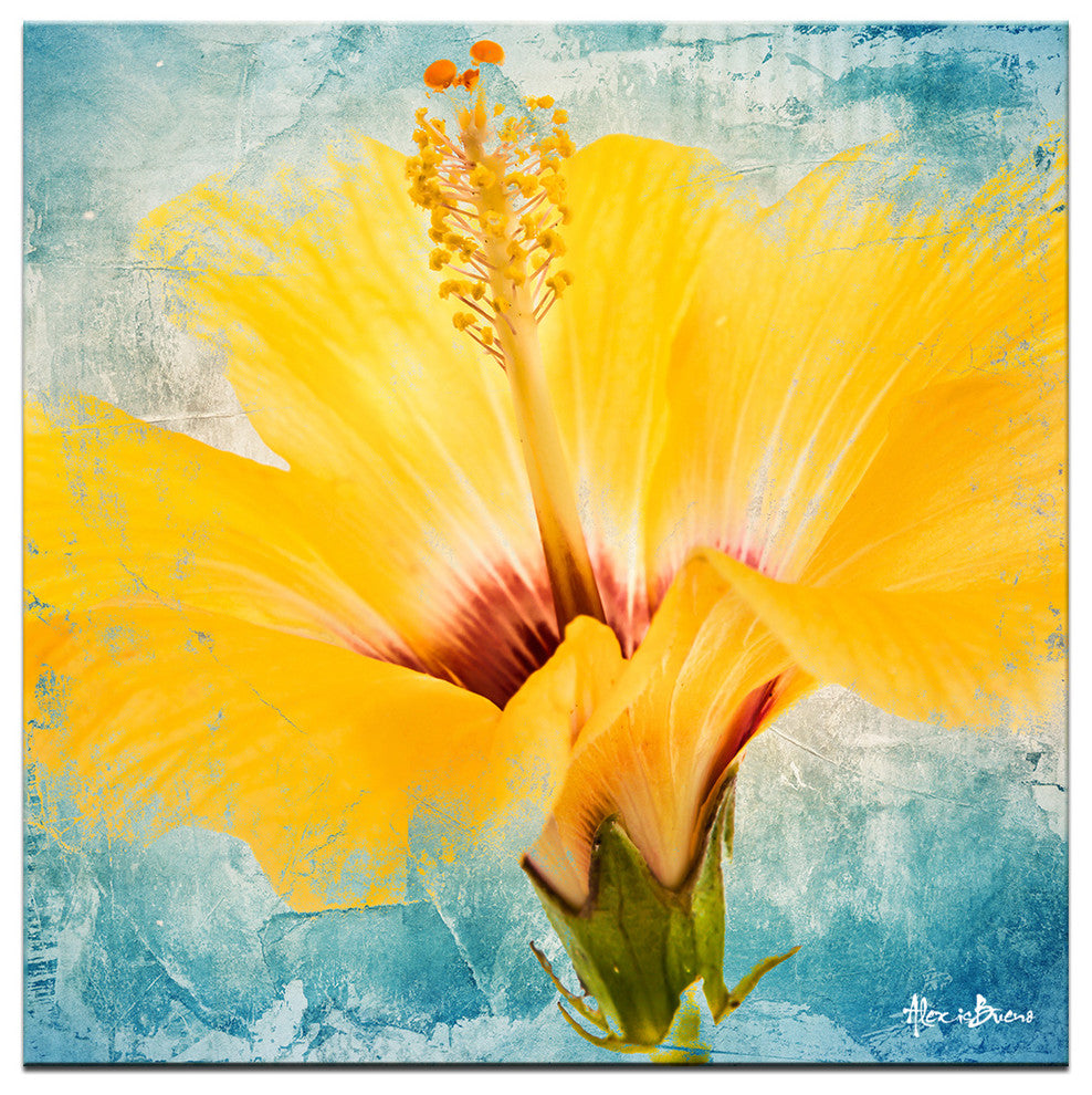 Painted Petals XVII Canvas Wall Art, 30"x30"