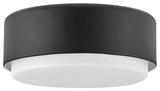 Hinkley Cedric Small Flush Mount, Black