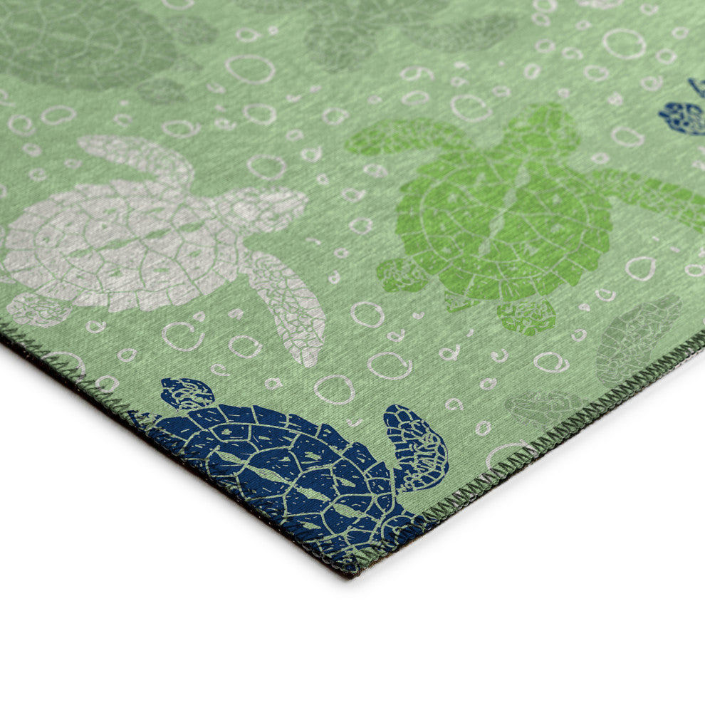 Indoor/Outdoor Seabreeze SZ13 Aloe Machine Washable 9' x 12' Rug