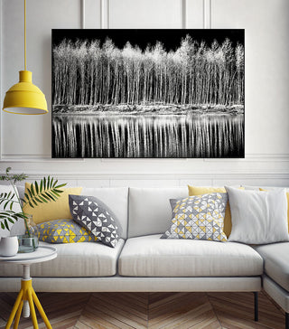 "Photograph 1" Art block Framed Canvas, 14"x11"