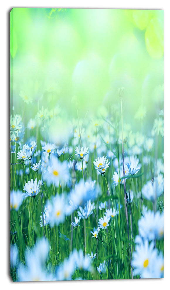 Chamomile Flowers on Green Background, Large Flower Canvas Art Print, 16"x32"