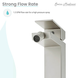 Concorde Bidet Faucet, Nickel
