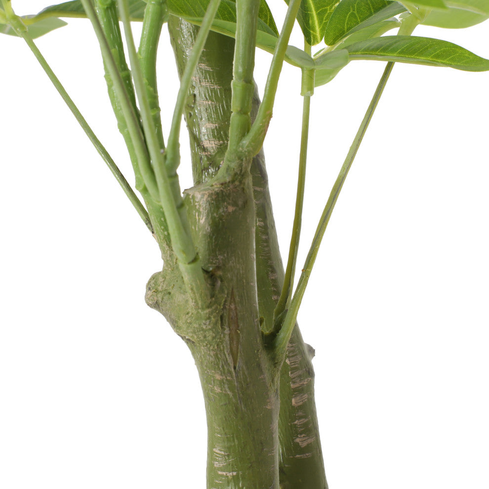 Coles Artificial Money Tree, Green, 31.5wx31.5dx63h