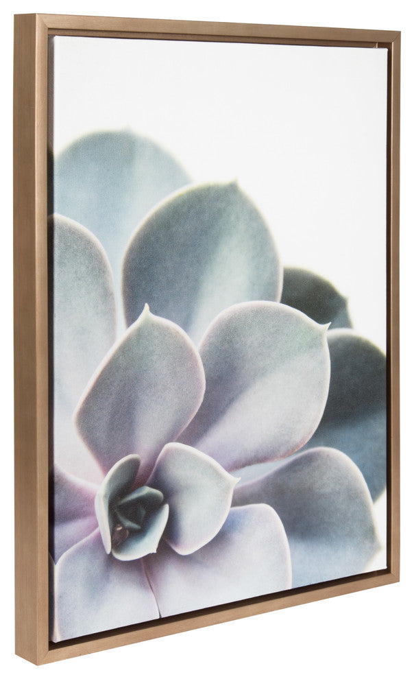 Sylvie Succulent, Gold Framed Canvas Wall Art by F2 Images