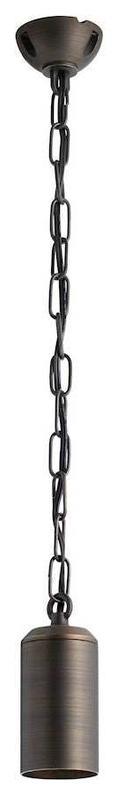 Kichler No Family One Light Hanging Lantern 15500CBR