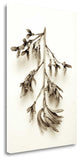 "Garden Bloom - 15" By Alan Blaustein, Giclee Print on Gallery Wrap Canvas