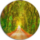 Fall Greenery And Road Straight Ahead, Forest Round Wall Art, 36"