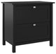 Broadview 2 Drawer Lateral File Cabinet in Classic Black - Engineered Wood