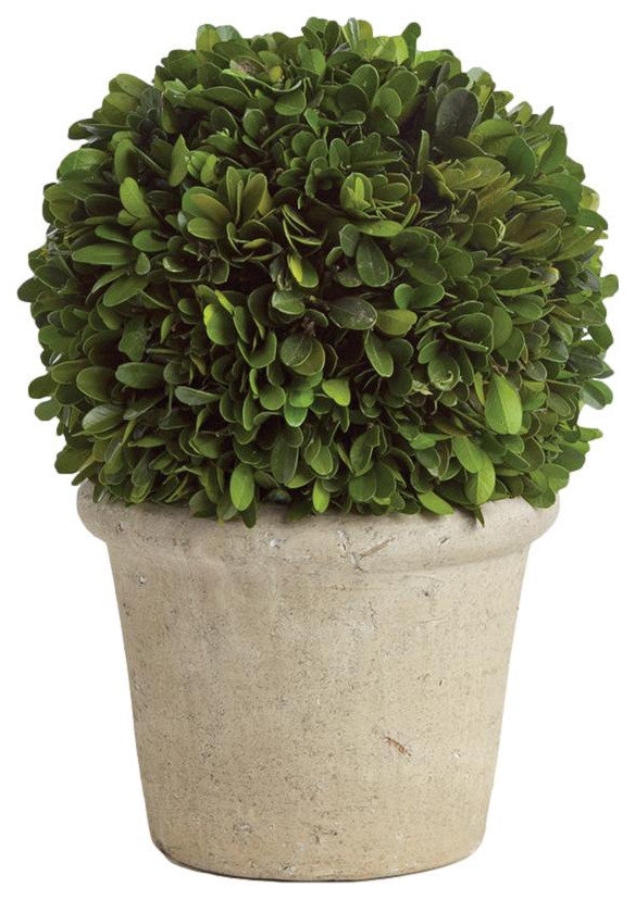 Elegant 12 in Ball Topiary in Pot Preserved Boxwood Greenery Faux Floral English