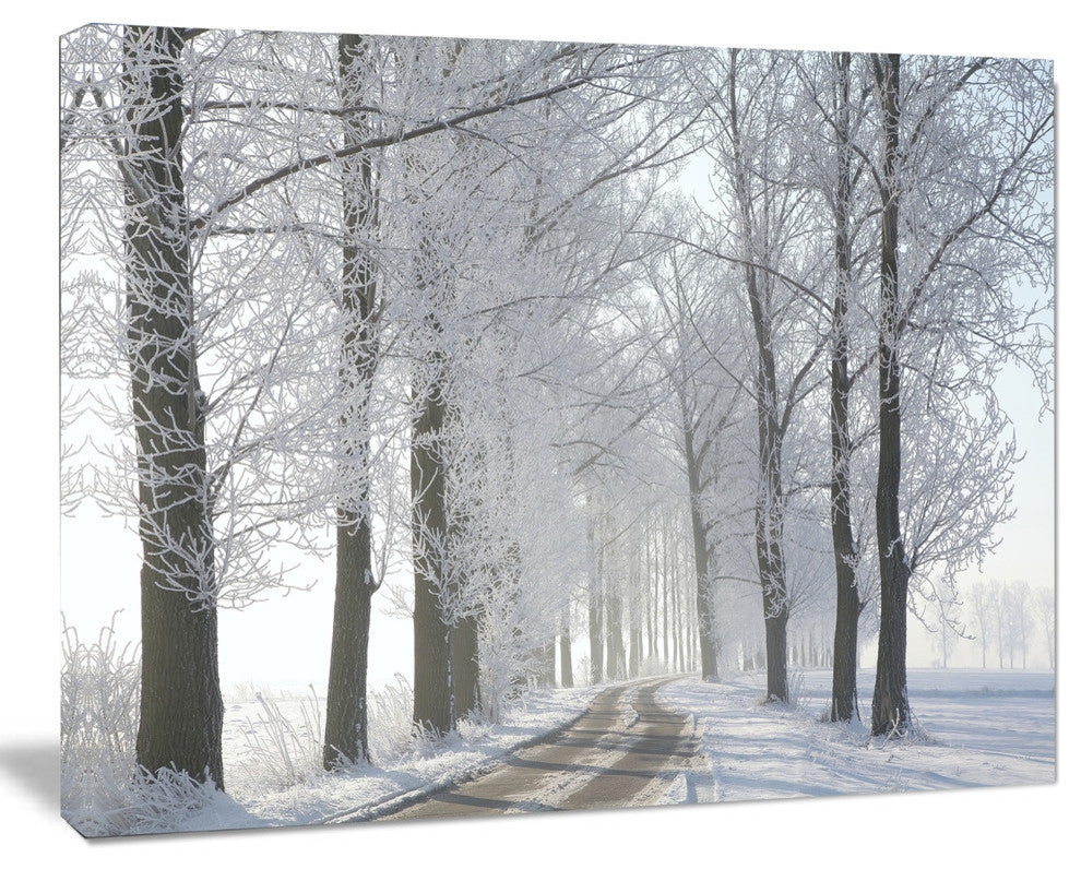 Winter Rural Road in the Morning, Large Forest Canvas Art Print, 40"x30"