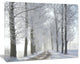 Winter Rural Road in the Morning, Large Forest Canvas Art Print, 40"x30"