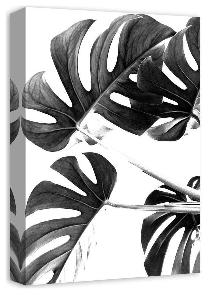 Black And White Monstera 12x18 Canvas Wall Art