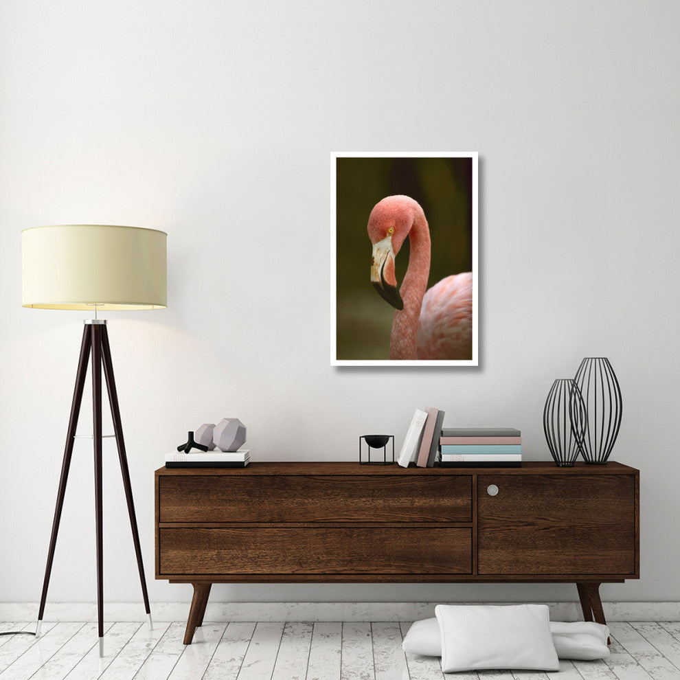 "Greater Flamingo, Caribbean" Digital Paper Print by Tim Fitzharris, 26"x38"