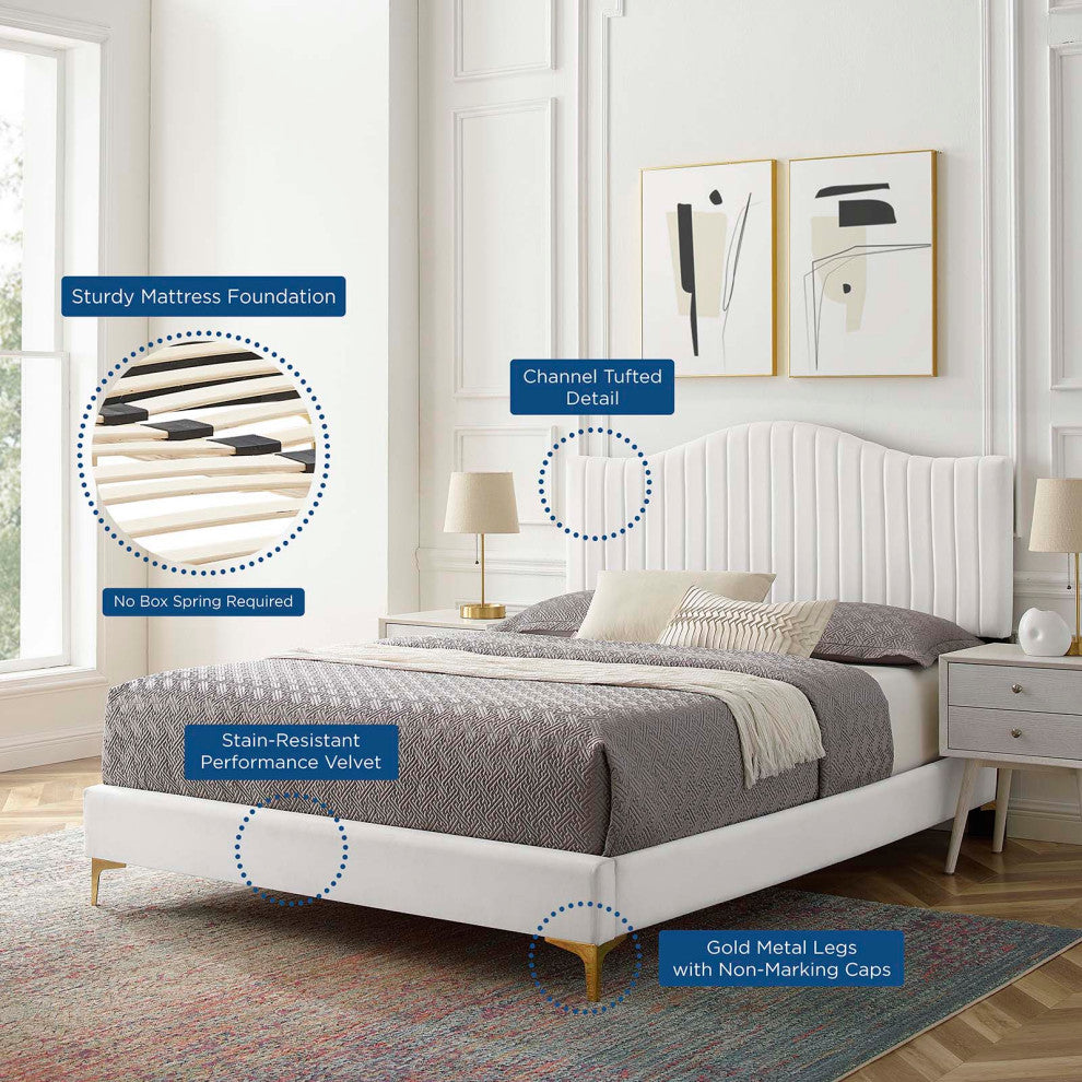 Tufted Platform Bed Frame, Queen Size, Velvet, White, Modern Contemporary
