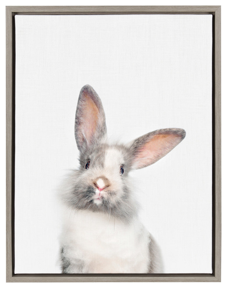 Sylvie M Baby Bunny Rabbit Animal Print Framed Canvas by Amy Peterson, 18x24