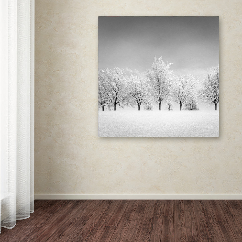 'Ice Storm' Canvas Art by Dave MacVicar