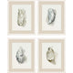 Oysters on the Bay Artwork 4-Piece Set