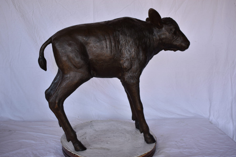 Bison Calf Lifesize Bronze Statue Size: 37"L x 15"W x 32"H.