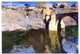 Joaquin Sorolla Y Bastida San Martin Bridge at Toledo Gallery Wrapped Canvas