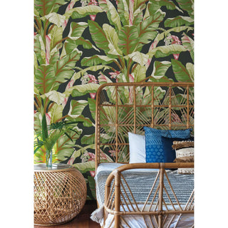 Banana Leaf Wallpaper