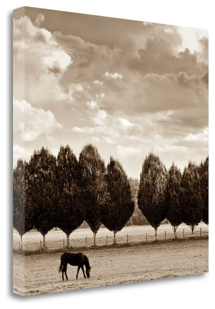 "Grazing" By Heather Ross, Giclee Print on Gallery Wrap Canvas, Ready to Hang