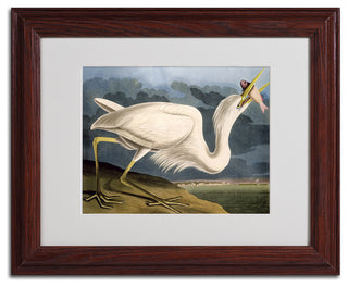 'Great White Heron' Matted Framed Canvas Art by John James Audubon
