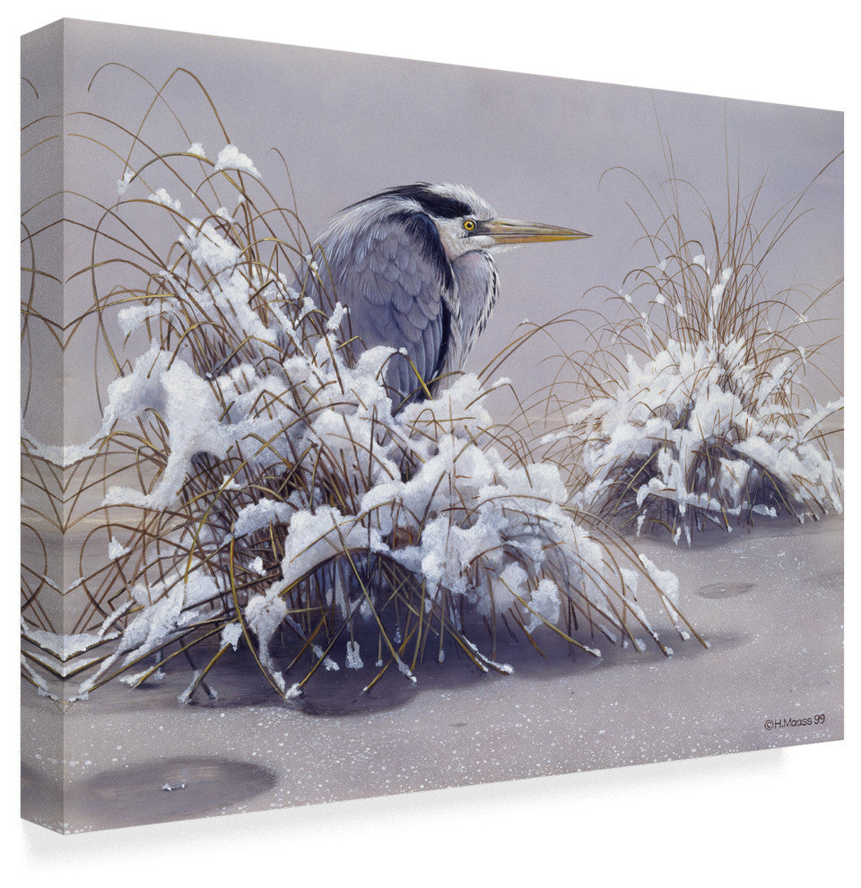 Harro Maass 'Grey Heron' Canvas Art, 32"x24"
