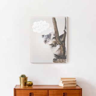 Baby Koala 16x20 Canvas Wall Art