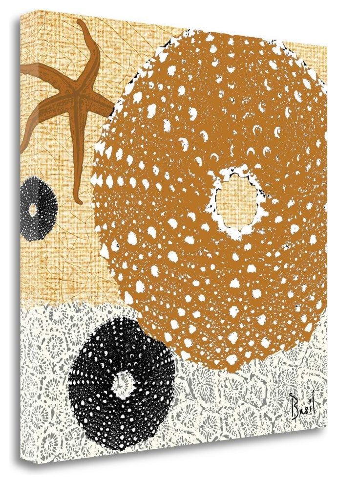 "Tidepool Dreams I" By Jason Basil, Giclee Print on Gallery Wrap Canvas