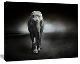 Large Elephant on Black, Animal Canvas Wall Art, 40"x30"